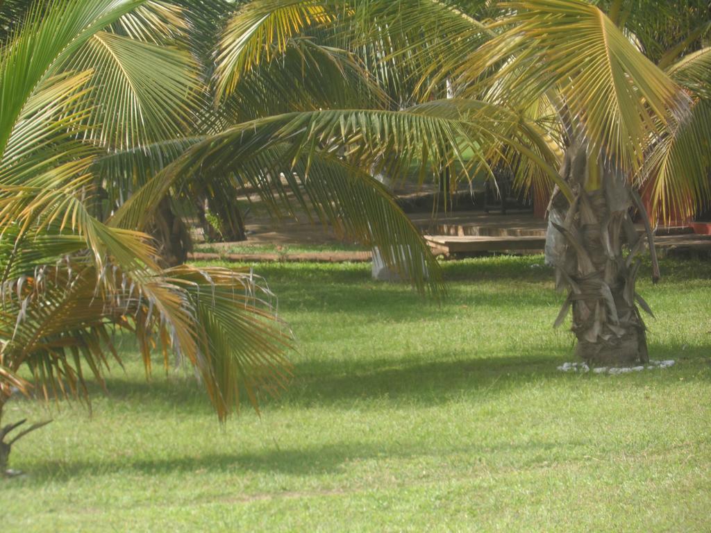 Legacy Tribe Beach Resort Prampram Buitenkant foto